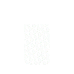 犀牛盾SolidX手機殼 - Google Pixel 11 - 【聯名設計款】 - JOCR - Forest Transparent & White