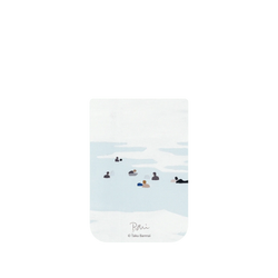 iPhone 17 Pro SolidX  Taku Bannai 坂內拓 16.5℃｜悠遊16.5℃的大海