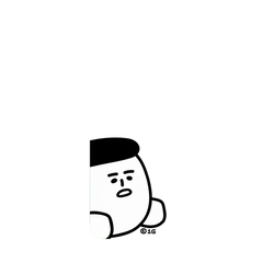 Pixel 11 Pro XL SolidX  1G 右看看