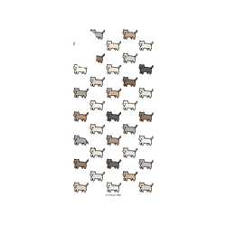 iPhone XS SolidSuit  小貓貓們 Little Cattos Little Cattos