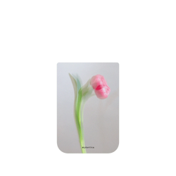 iPhone 17 Pro SolidX (MagSafe 兼容)  Plantica 印象派 – 哈德維希鬱金香