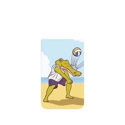 Pixel 11 Pro XL SolidX  Keigo Beach Volleyball