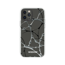 犀牛盾Clear Case防摔背蓋手機殼 - iPhone 12/12 Pro - 【聯名設計款】 - WISDOM - SILK