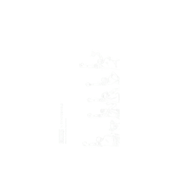 iPhone 13 Pro Mod NX (MagSafe 兼容)  One Piece 海賊團系列-阿拉巴斯坦篇一行人 線稿