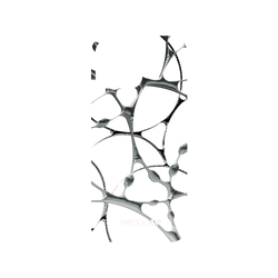 犀牛盾NX系列背板 - iPhone 16 Pro Max - 【聯名設計款】 - WISDOM - SILK