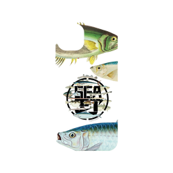 iPhone 15 Plus Clear Case (MagSafe 兼容)  KID 魚群海釣
