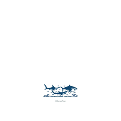 Galaxy S26 FE SolidX  迪士尼-皮克斯 海底總動員-吃素的鯊魚