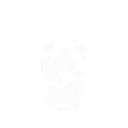 Pixel 11 Pro XL SolidX (MagSafe 兼容)  Jin Young Choi 雲朵狗狗