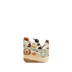 iPhone 17 SolidX (MagSafe 兼容)  Nyangsongi 我的靈魂食物