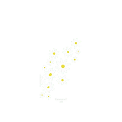 Pixel 11 Pro XL SolidX  Knock Knock A2Z 雛菊溜滑梯