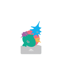犀牛盾SolidSuit手機殼 - Google Pixel 7 - 【獨家設計款】 - a-We派對