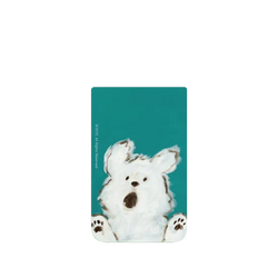 Pixel 11 Pro XL SolidX (MagSafe 兼容)  YEYE 驚嘆瞬間