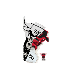 iPhone 15 Pro Max Mod NX Backplate  NBA 拼接系列-芝加哥公牛 Chicago Bulls - Style Mix