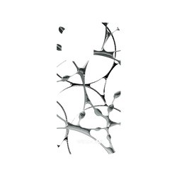 犀牛盾Mod NX手機殼 - iPhone 14 Pro - 【聯名設計款】 - WISDOM - SILK