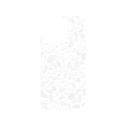 犀牛盾Clear Case（相機按鈕）防摔背蓋手機殼 - iPhone 16 Pro - 【聯名設計款】 - 老屋顏 Old House Face - 透明-磨石子