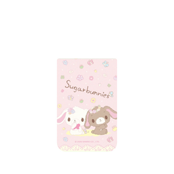 iPhone 17 Pro Max Clear Case（MagSafe 兼容 & 相機按鈕）  蜜糖邦尼 花田嬉戲