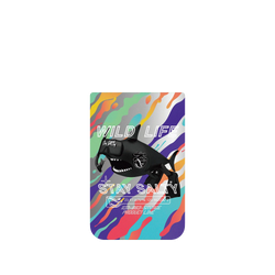 iPhone 17 Pro Max Clear Case（MagSafe 兼容 & 相機按鈕）  KID 潛水鯊魚