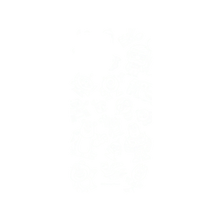 犀牛盾Mod NX (MagSafe 兼容)手機殼 - iPhone 13 Pro Max - 迪士尼-皮克斯 PIXAR - 皮克斯系列 - 角色線條風格