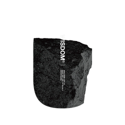 犀牛盾固架MAX (MagSafe 兼容) - 【聯名設計款】- WISDOM - OOPArt