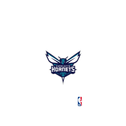 iPhone XS Mod NX Backplate  NBA Logo-夏洛特黃蜂 Charlotte Hornets