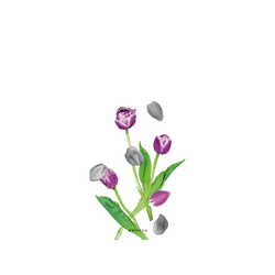 Galaxy S26 FE SolidX (MagSafe 兼容)  Plantica 回響 – 褐紫