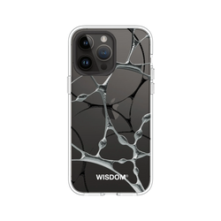 犀牛盾Clear Case防摔背蓋手機殼 - iPhone 14 Pro Max - 【聯名設計款】 - WISDOM - SILK