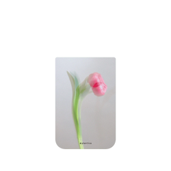 iPhone 17 Pro Max SolidX (MagSafe 兼容)  Plantica 印象派 – 哈德維希鬱金香
