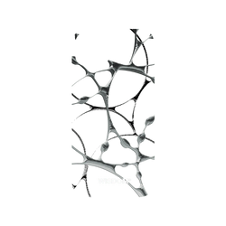犀牛盾Mod NX (MagSafe 兼容)手機殼 - iPhone 14 Plus - WISDOM - SILK