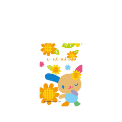 iPhone 17 Pro Clear Case（相機按鈕）  花小兔 Happy 花小兔