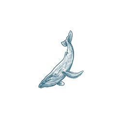 犀牛盾固架MAX (MagSafe 兼容) - 【聯名設計款】- MYMY REVERZ TATTOO - 藍線鯨魚