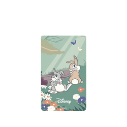 Pixel 6 SolidSuit  Disney - Classics 迪士尼經典電影 小鹿斑比 - 桑普與邦妮