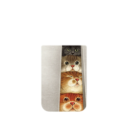 iPhone 17 Pro SolidX  Nyangsongi 貓貓塔塔