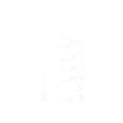 iPhone 12 Pro Max Mod NX (MagSafe 兼容)  One Piece 海賊團系列-阿拉巴斯坦篇一行人 線稿