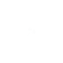 犀牛盾AirPods Pro 3 - 【獨家設計款】 - 草綠系列-蒲公英