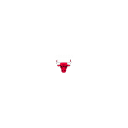 AirPods Pro 3 AirPods Case  NBA Logo-芝加哥公牛 Chicago Bulls - Light