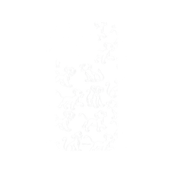 iPhone 15 Pro 犀牛盾AirX聯名設計款防摔背蓋手機殼 迪士尼-經典系列 Disney Classics - 獅子王 Le Roi lion - Simba