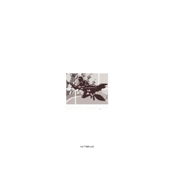 iPhone 15 Pro Max AirX  Harry Potter 魁地奇- 葛來分多NO.07