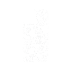 iPhone 16 Plus 犀牛盾AirX聯名設計款防摔背蓋手機殼 迪士尼-經典系列 Disney Classics - 獅子王 Le Roi lion - Simba