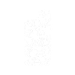 iPhone 16e 犀牛盾AirX聯名設計款防摔背蓋手機殼 迪士尼-經典系列 Disney Classics - 獅子王 Le Roi lion - Simba