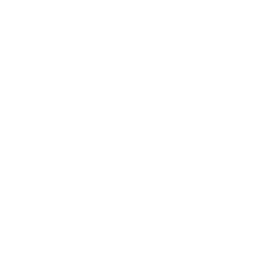 犀牛盾Mod NX手機殼 - iPhone 14 - Harry Potter - 咒語系列：Pattern