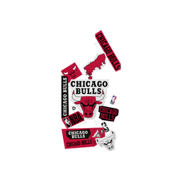 iPhone 13 Pro Clear Case (MagSafe 兼容)  NBA 拼貼系列-芝加哥公牛 Chicago Bulls - Collage