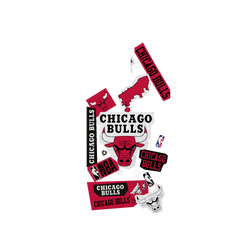 iPhone 14 Pro Max Clear Case (MagSafe 兼容)  NBA 拼貼系列-芝加哥公牛 Chicago Bulls - Collage