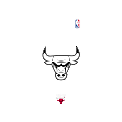 iPhone 15 Pro Max Clear Case (MagSafe 兼容)  NBA B&W-芝加哥公牛 Chicago Bulls B&W - Light