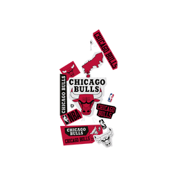 iPhone 15 Pro Max Clear Case (MagSafe 兼容)  NBA 拼貼系列-芝加哥公牛 Chicago Bulls - Collage