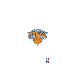 iPhone 16 Clear Case（相機按鈕）  NBA Logo-紐約尼克 New York Knicks