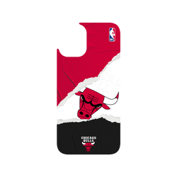 iPhone 16 Plus Clear Case（相機按鈕）  NBA 熱血系列-芝加哥公牛 Chicago Bulls - Sweat and Tears