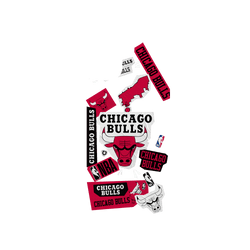 iPhone 16 Plus Clear Case（相機按鈕）  NBA 拼貼系列-芝加哥公牛 Chicago Bulls - Collage