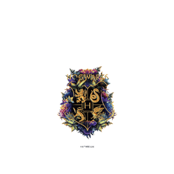 iPhone 16 Pro Max Clear  Harry Potter 霍格華茲校徽