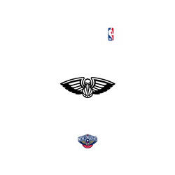 iPhone 16 Pro Max Clear Case（MagSafe 兼容 & 相機按鈕）  NBA B&W-新奧爾良鵜鶘 New Orleans Pelicans B&W