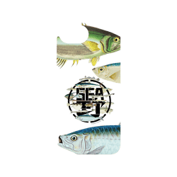 iPhone 17e Clear Case (MagSafe 兼容)  KID 魚群海釣